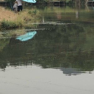 成功桥农庄活水生态钓场