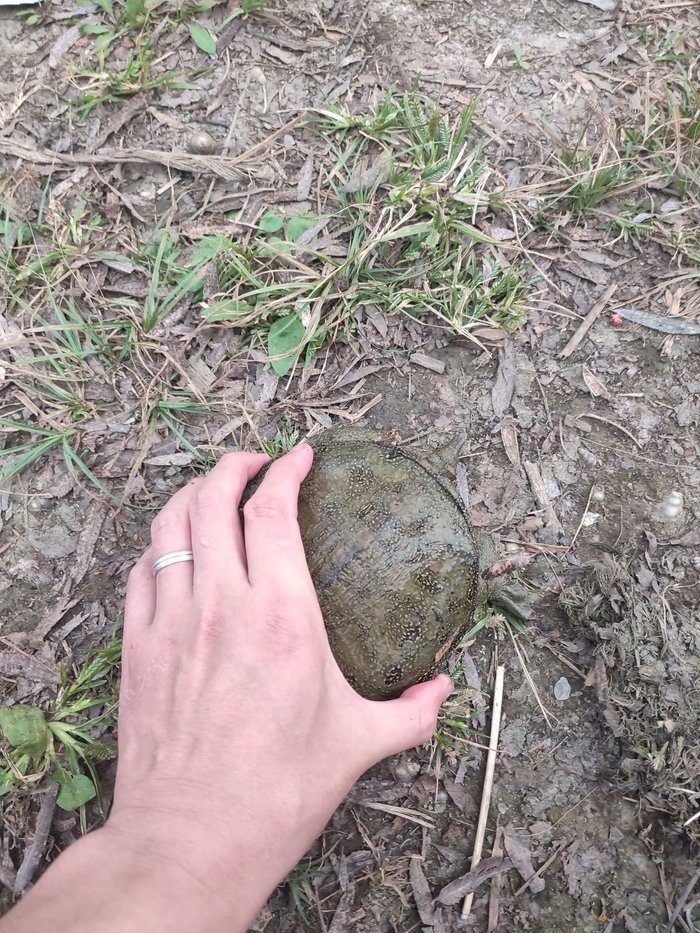 浑河野钓，除去目的鱼，什么都碰见了