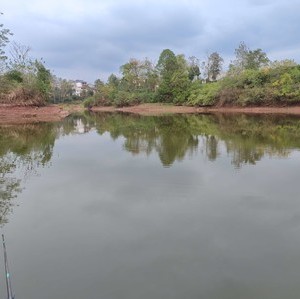 白坪富强水库