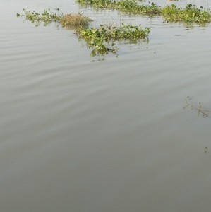 沙子塘水库