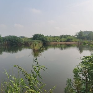南京明丽生态农业园