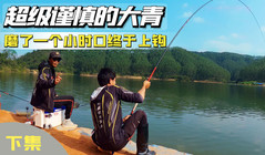 《游釣黑坑一瘋子》水庫釣大魚就是這樣有些口忍住了魚就上來了，整整磨了一個小時口