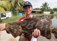 《雙寶環球行》第二期 馬來西亞坑塘快斗老虎斑 頻上大魚干敗當地釣友