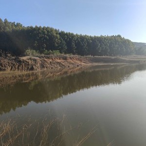 大坪头水库