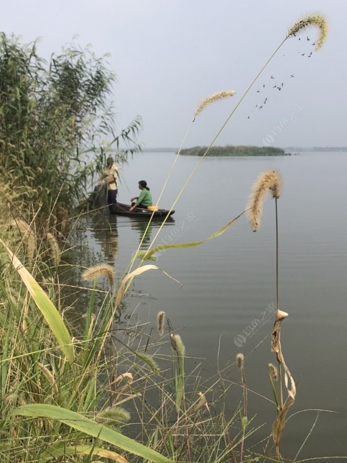 白马湖钓鱼图片