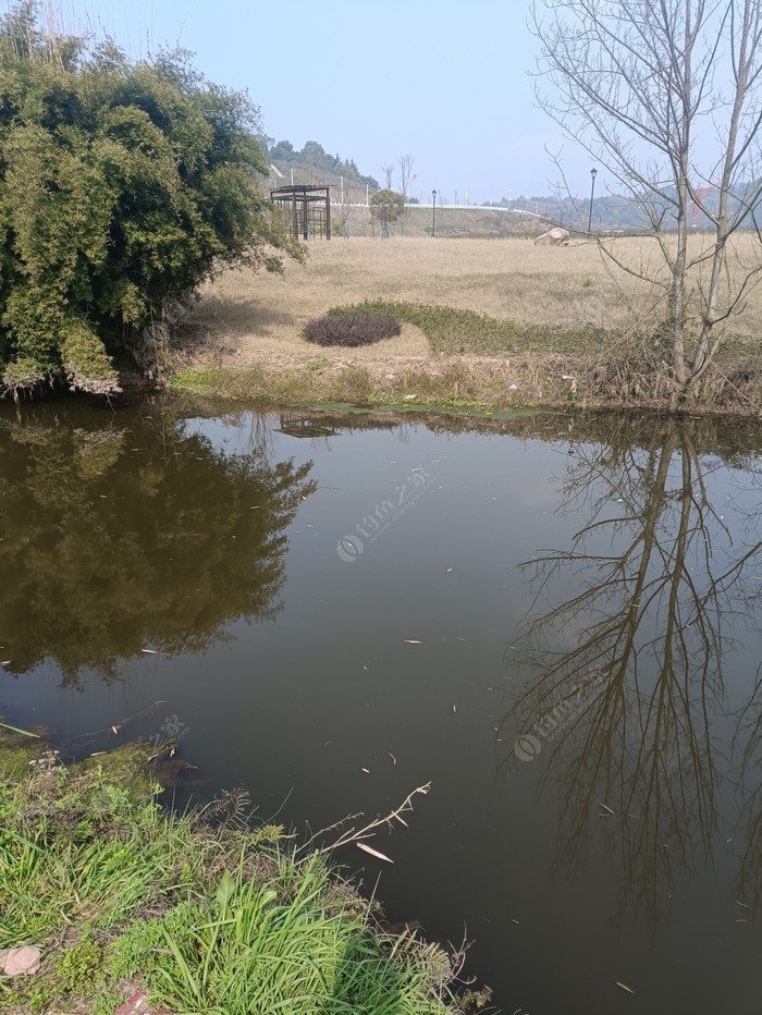 黑水滩河支流