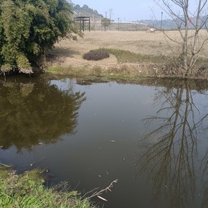 黑水滩河支流天气预报