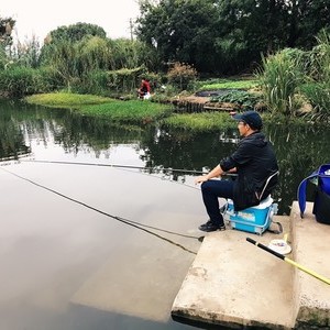 夏坊南浜生态园