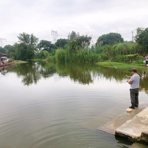 夏坊南浜生态园