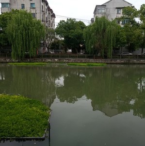 西塘河