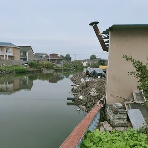 沈家舍太平河（二）