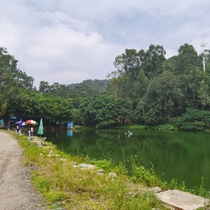 华A钓鱼场天气预报