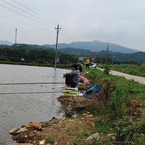 柳林河钓场