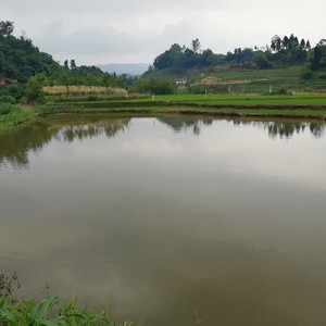 李湾生态钓鱼场