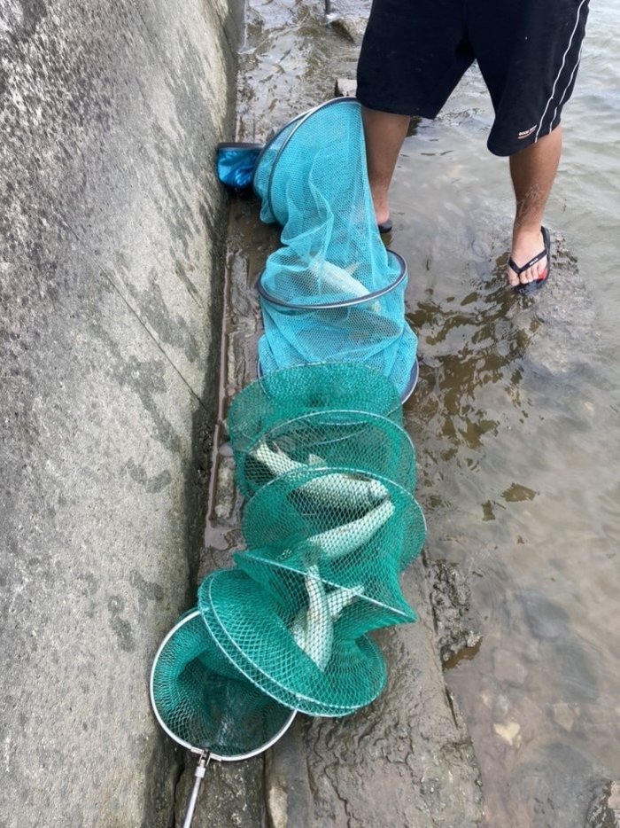 鹅洲岛钓鱼图片