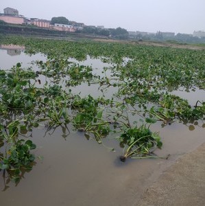 大垄水库