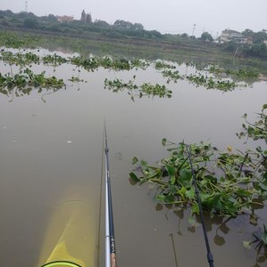 大垄水库