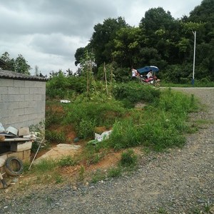 湘峰村黄鸭叫钓场