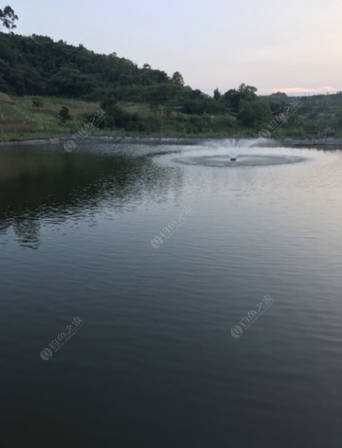 金竹湾休闲钓鱼