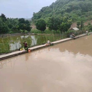 鱼鳅猫欢乐钓场天气预报