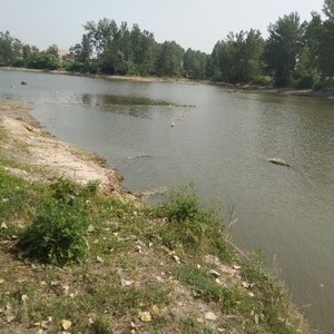 利民河