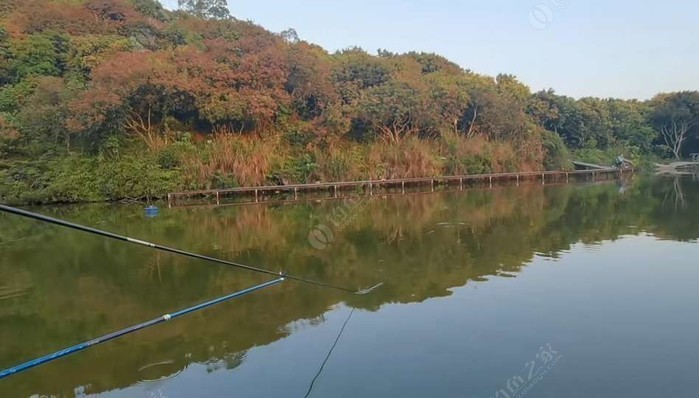 惠州南坑神仙钓鱼场