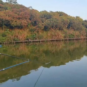 惠州南坑神仙钓鱼场天气预报
