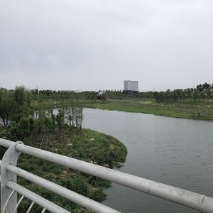 练江河滨河公园段天气预报