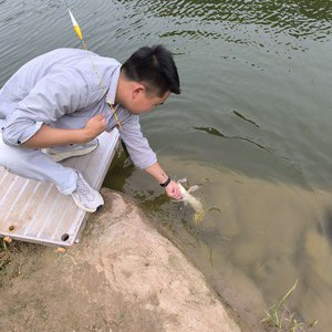 响铃口水库