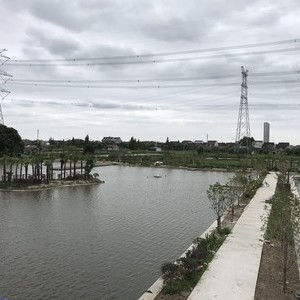上海妙龙水产养殖专业合作社天气预报
