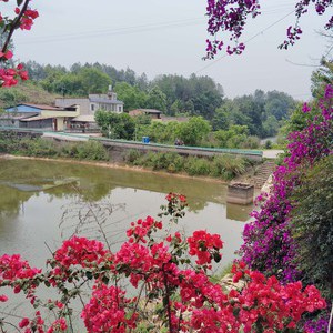 黑龙滩月亮湾生态钓鱼场