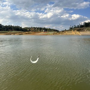 太平湖水库