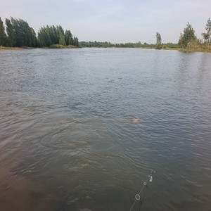 漳河河道