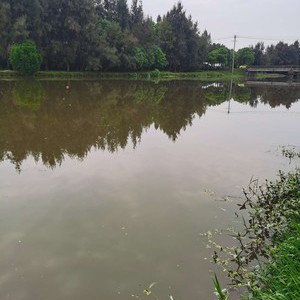 机场大河天气预报