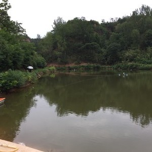 西尧村农家乐鱼塘