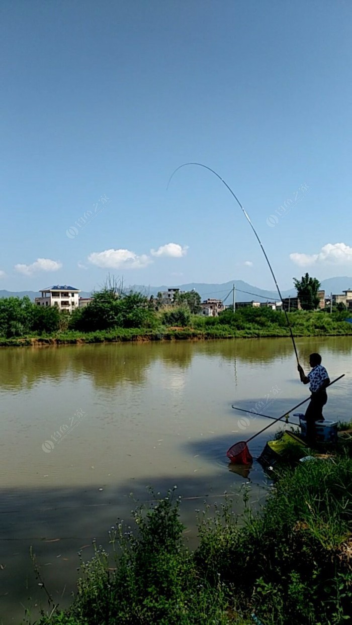 河源农家钓鱼场