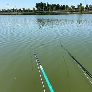 木刀沟湿地公园天气预报