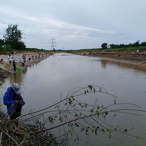 柳清河