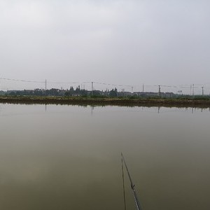 江东渔乐园