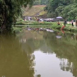 山涧竹苑垂钓