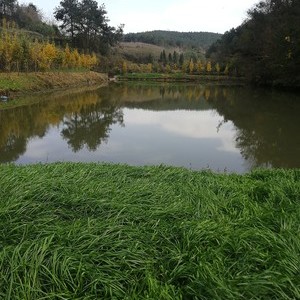 宁家湾村水库