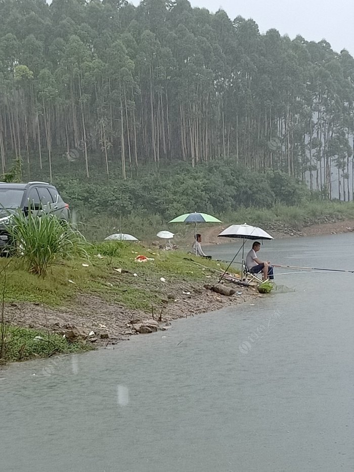 广州龙洞水库钓鱼图片