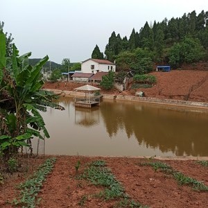 鲍安蓉家庭农场