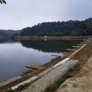 仙逸钓场天气预报