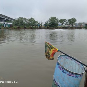 临江仙休闲钓场天气预报