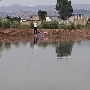 游鱼湾钓场