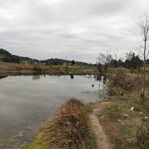 赵堰村河