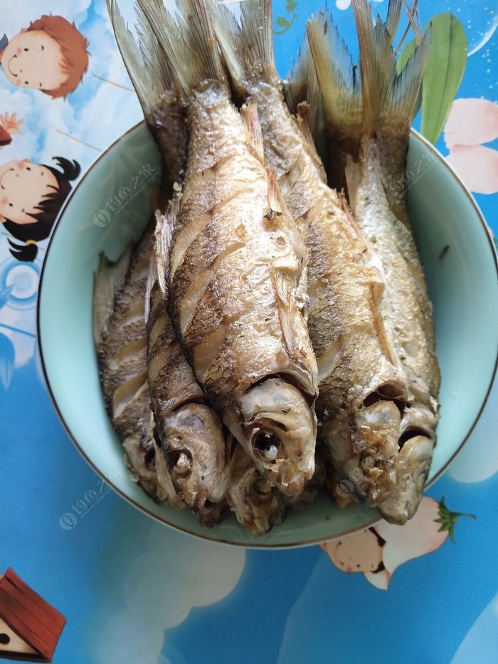 长江芦花鱼图片