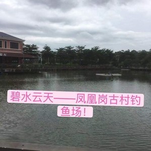 塘厦凤凰岗古村钓鱼场天气预报