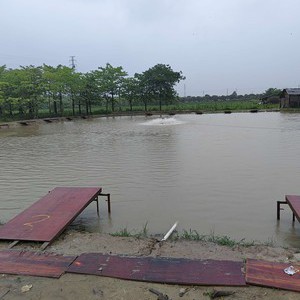 君仔钓场天气预报